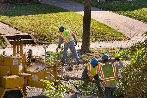 Reliable Durham, OR Tree Removal and Landscaping Services Solutions